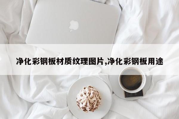 净化彩钢板材质纹理图片,净化彩钢板用途